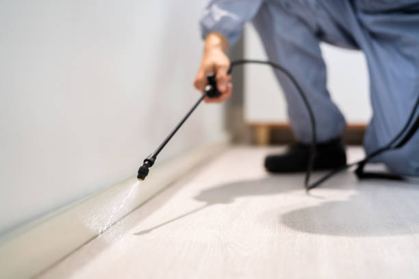Licensed Pest Control service in Mead, CO - Show Me Pest Control