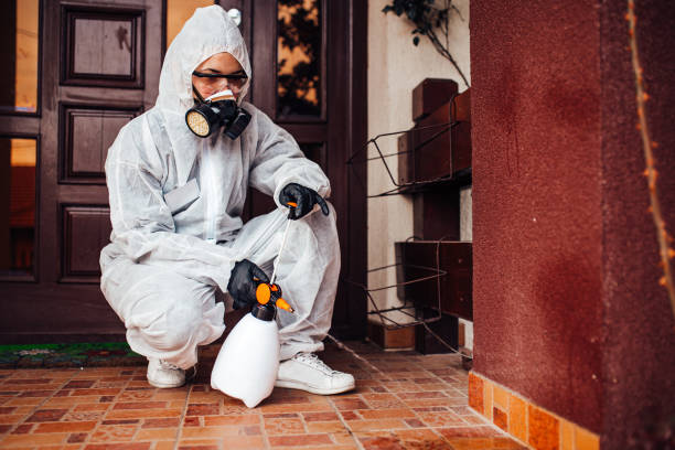 Attic and Crawl Space Rodent Treatment in Mead