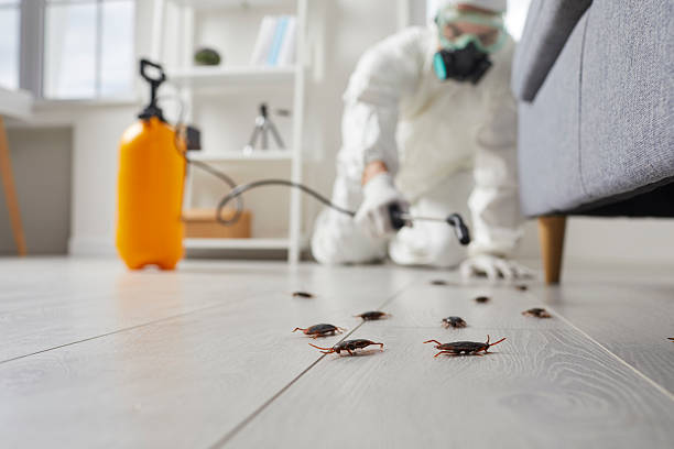 Commercial Rodent Management in Mead